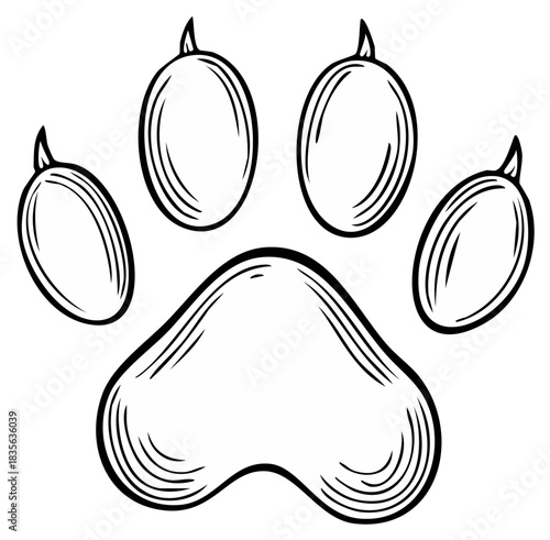 Detailed hand drawn paw print illustration with hatching texture