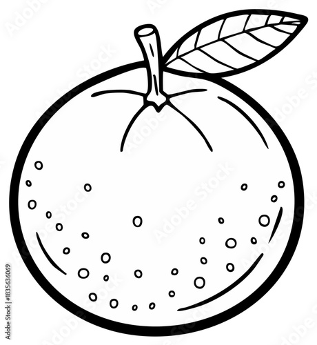 Orange fruit outline illustration with leaf, black and white line art