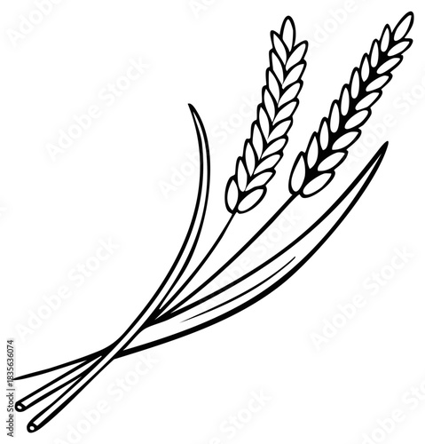 Minimalist wheat stalks line art drawing. Isolated vector icon of agricultural grain for harvest, food, and bakery concepts