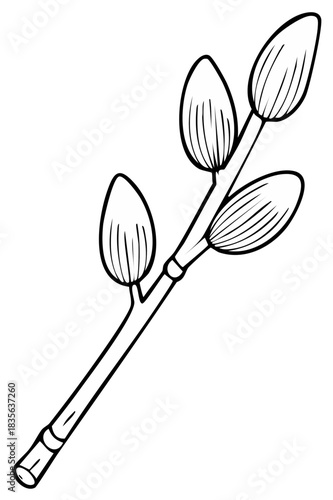 Black and white pussy willow branch outline drawing with spring catkins, simple nature illustration