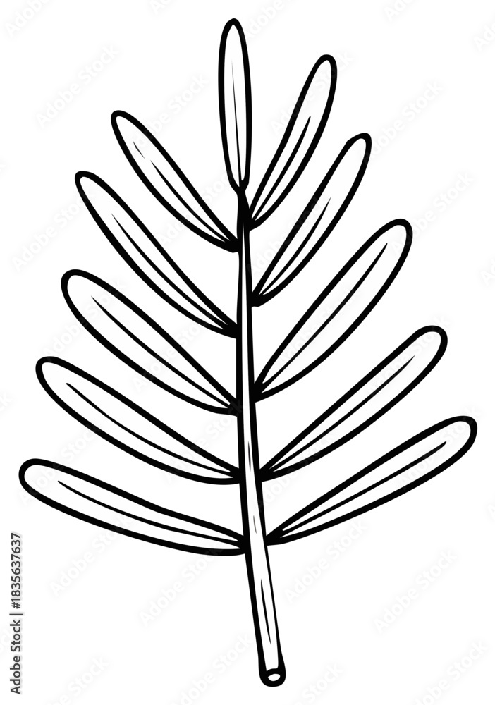Fototapeta premium Hand drawn botanical branch with leaves sketch. Black and white vector illustration for coloring book.