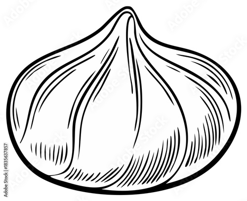 Stylized Hand Drawn Fig Fruit Outline Vector Illustration