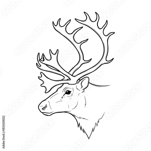 Majestic reindeer head with large antlers in a distinctive sketchy silhouette style on white background
