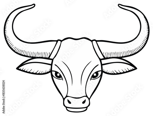 Stylized Bull Head Front View Line Art Illustration with Large Curved Horns