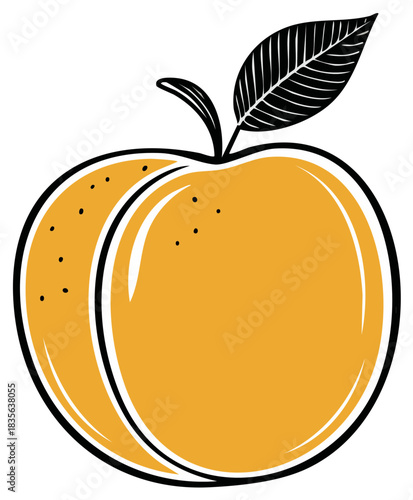 Fresh ripe orange peach or apricot fruit with simple graphic outline and black leaf illustration