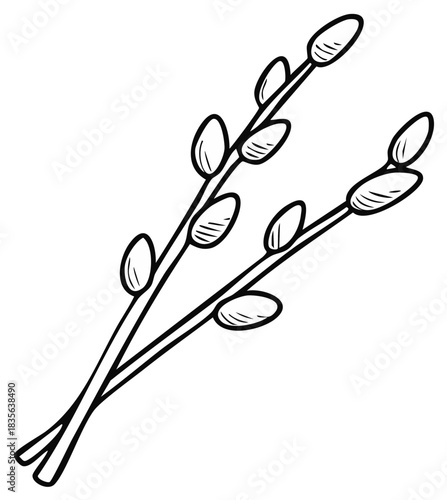 Elegant pussy willow branches line art drawing, symbolizing spring awakening and Easter