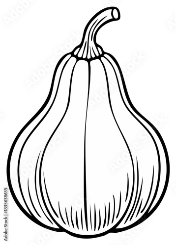 Black outline illustration of a pear-shaped squash with vertical ribbing and a curved stem