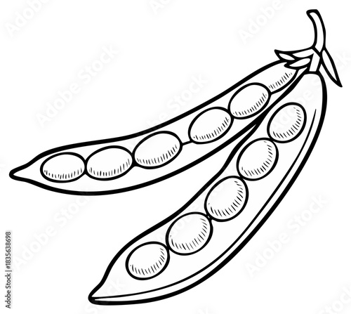 Pea Pods Line Art Vegetable Illustration Healthy Food Veggies Vegetarian Diet