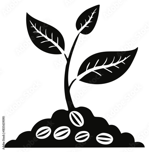 Seedling sprouting from fertile soil with coffee beans growth concept illustration