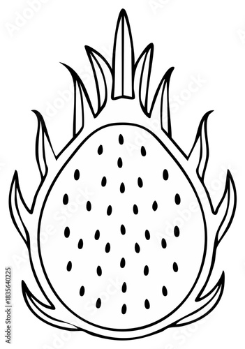 Black and white illustration of a dragon fruit, cut in half