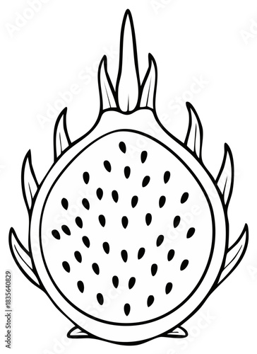 Graphic Dragon Fruit Section with Seeds and Leafy Peel Black and White Food Illustration