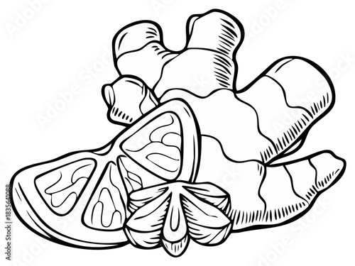 Line Art Illustration of Ginger Root Slice Citrus Fruit and Star Anise
