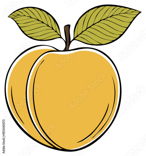Ripe peach or apricot fruit with green leaves and stem in a vibrant simple cartoon vector illustration