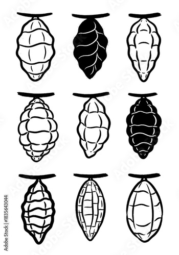 Grunge style collection of insect metamorphosis symbols, nine isolated chrysalis and pupa shapes, rough black ink sketch icons