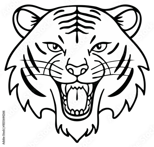 Roaring tiger head graphic illustration depicting a fierce wild feline predator with an open mouth and sharp teeth