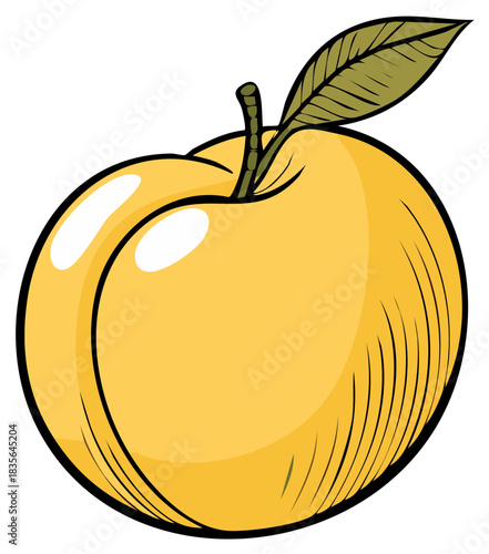 Single Whole Peach Fruit with Leaf Fresh Sweetness Illustration