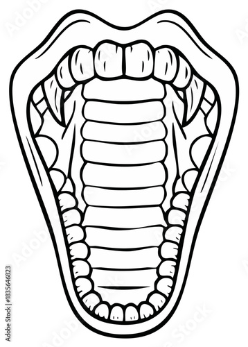 Open Mouth with Teeth, Illustration of Reptile Jaw, Fang, Fangs, Predatory Animal Anatomy