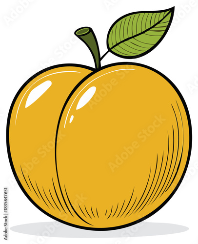 Ripe Yellow Peach Fruit with Green Leaf Vector Illustration