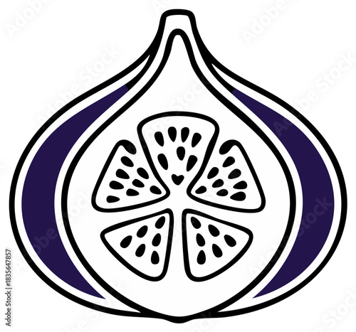 Fig Fruit Slice Graphic Illustration with Black Seeds and Purple Skin Isolated on White