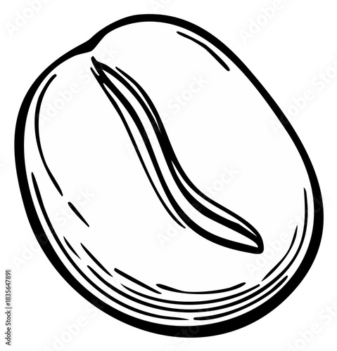 Single coffee bean sketch black and white hand drawn vector illustration line art