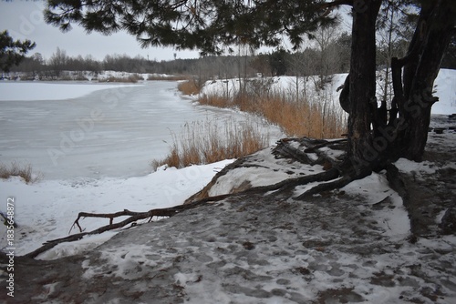 Winter landscape with frozen lake, trees and snow-covered land