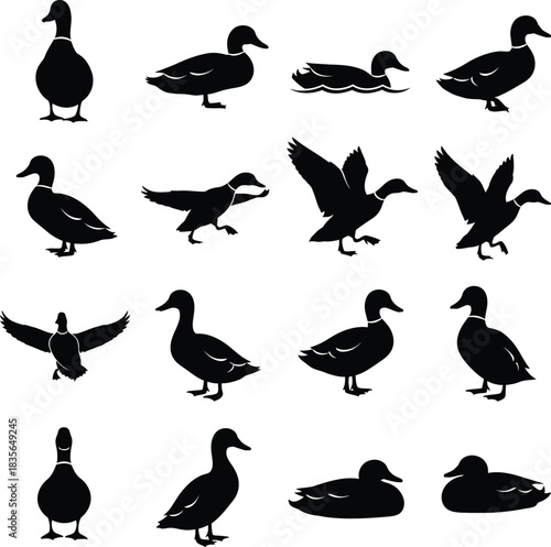 Collection of duck silhouettes in various poses on white background