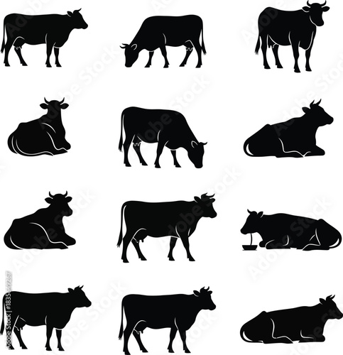 Black cow silhouettes collection on a white background