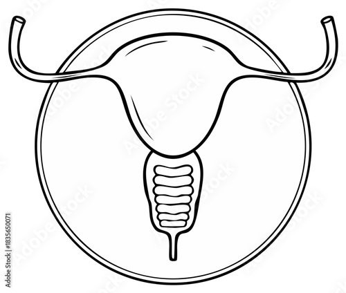 Female Reproductive System Illustration Black and White Outline, Medical Diagram of Uterus, Fallopian Tubes and Bladder Anatomy
