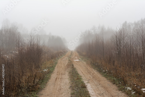 Foggy rural road winding through a forest in late autumn, with light snow dusting the ground and underbrush. Serene, mysterious path fading into thick mist, evoking solitude and seasonal transition
