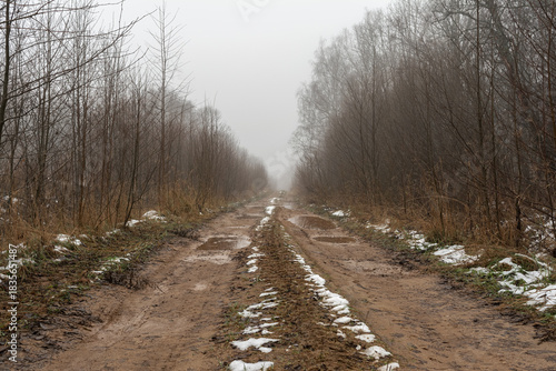 Snowy forest road lined with slender trees, winding through misty underbrush with light frost and mud patches. Atmospheric late autumn or early winter scene evoking solitude and wilderness