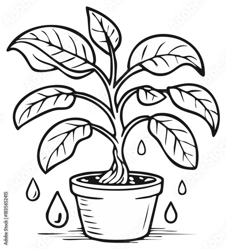 Black and white illustration of a potted plant being watered with drops falling