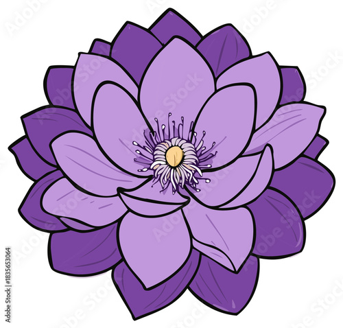 Stunning purple lotus or water lily flower illustration with detailed layered petals and vibrant colors