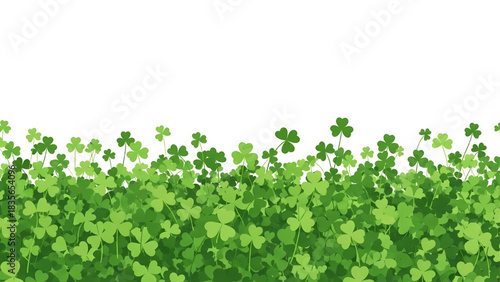Horizontal border of green clovers and shamrocks of different shades, creating a field or meadow effect, isolated on a white background. Spring design element.