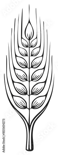 Stylized black and white illustration of a single wheat stalk with detailed grains and leaves