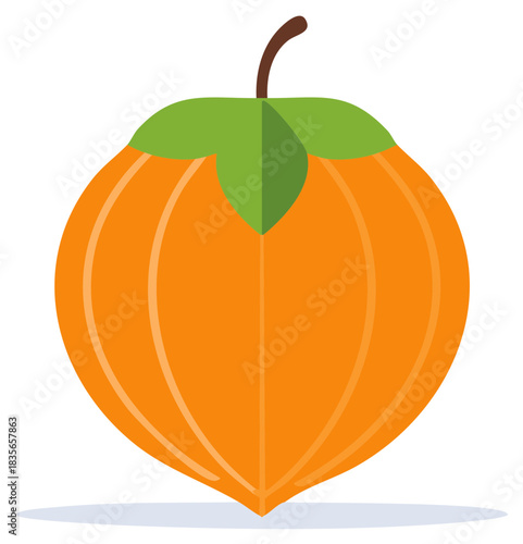 Stylized illustration of an orange fruit with green leaves and brown stem