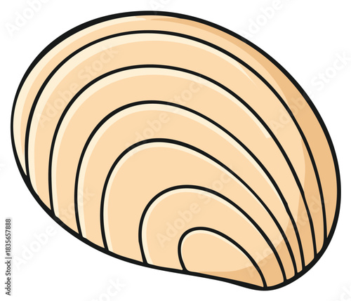Stylized Shell with Creamy White and Peach Tones and Black Outline