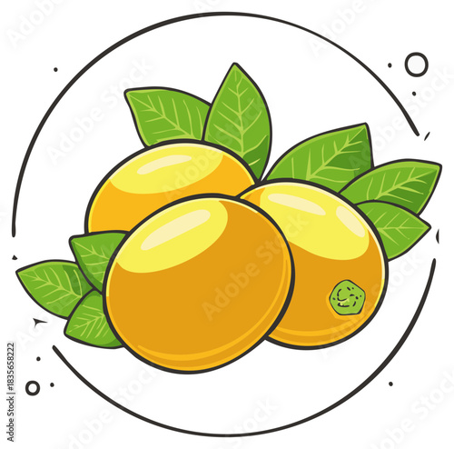 Loquat Fruits with Leaves Illustration Fresh Yellow Sweet