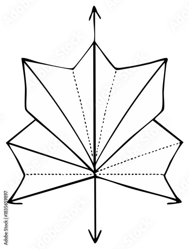 Symmetrical geometric line art of a folded leaf or fan with a central axis
