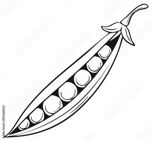 Stylized illustration of a single pea pod with visible round peas inside
