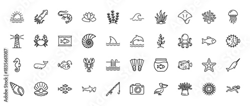 Ocean and sea life line icon set. Vector pictograms of dolphin, shark, jellyfish, clam, coral, and crab, thin outline illustration.