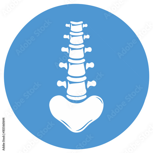 Human spinal anatomy illustrated against a blue background for educational resources, highlighting bone structure and skeletal system science