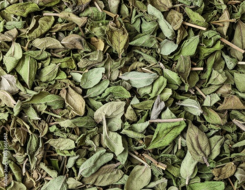 basil, spices, herbs, food, kitchen, texture, macro