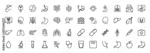 Gastroenterology line icon set. Vector pictograms of stomach, liver, intestines, pancreas, colon, esophagus, endoscope and anatomy, thin outline illustration.