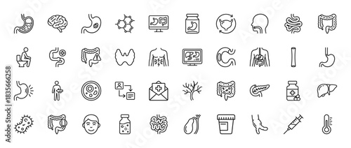 Gastroenterology line icon set. vector pictograms of stomach, intestine, colon, liver, and pancreas, thin outline illustration.