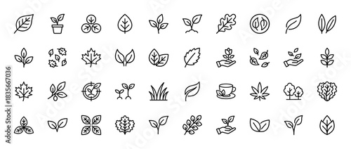 Nature and ecology line icon set. Vector pictograms of leaves, sprouts, seedlings, grass, and plants, thin outline illustration.