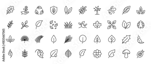 Nature and ecology line icon set. Vector pictograms of leaves, plants, seedlings, grass, and recycling symbols, thin outline illustration.
