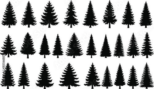 Collection of black evergreen tree silhouettes featuring various pine and fir shapes, forest illustration set for nature, outdoor landscape, winter and environmental design