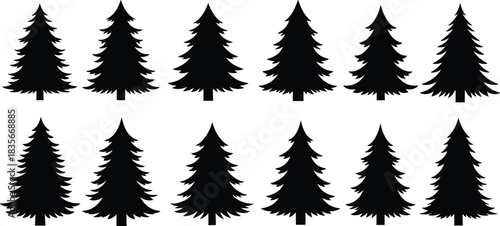 Collection of black pine tree silhouettes in consistent style, evergreen forest icons for winter nature artwork, holiday decoration and seasonal design vector