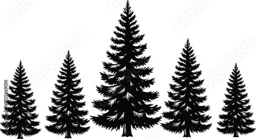Realistic pine tree silhouettes in multiple sizes, detailed evergreen forest illustration for nature artwork, winter landscape design and outdoor seasonal graphic elements