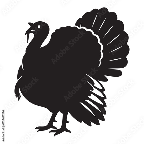 turkey vector illustration on white background